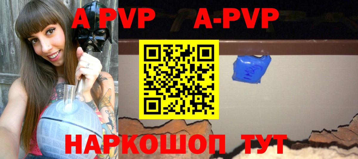Alfa_PVP СК КРИС Будённовск