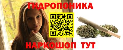 дурь Берёзовский