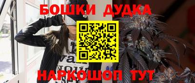 прущие грибы Беслан