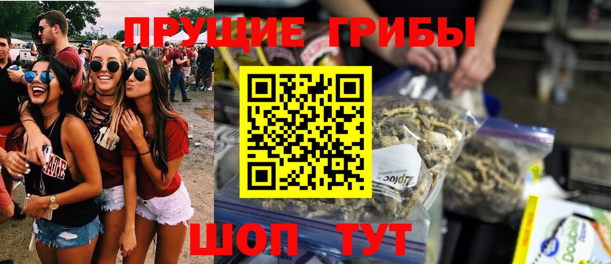 Галлюциногенные грибы Psilocybine cubensis Будённовск