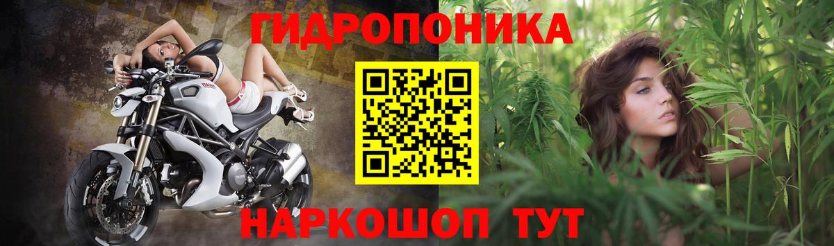 Марихуана White Widow  Конопля Bruce Banner  Марихуана ГИДРОПОН  Будённовск  Марихуана индика  Вход с VPN 